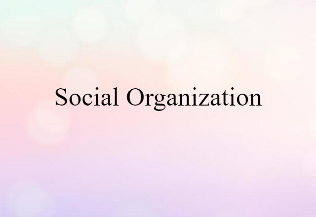 social organization