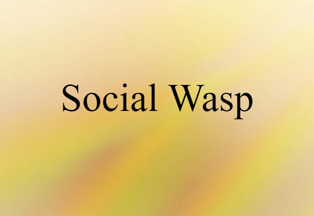 social wasp