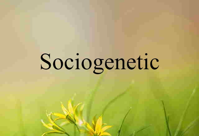 Sociogenetic (noun) Definition, Meaning & Examples