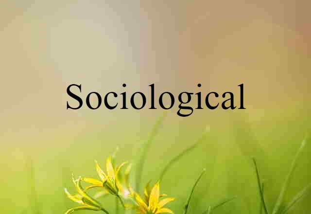 sociological