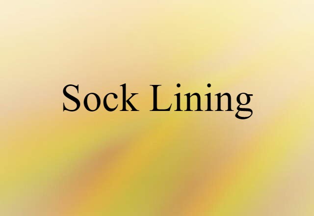 Sock Lining (noun) Definition, Meaning & Examples