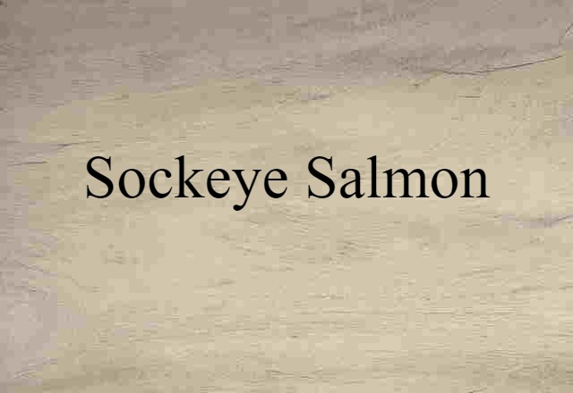 sockeye salmon