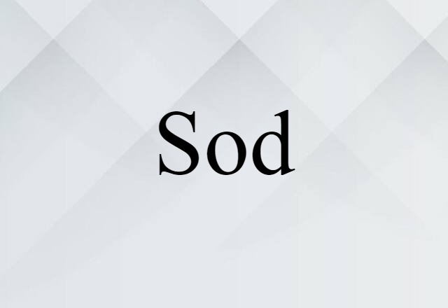 Sod (noun) Definition, Meaning & Examples