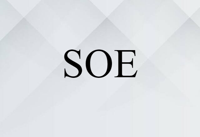 SOE (noun) Definition, Meaning & Examples