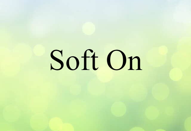 Soft On (noun) Definition, Meaning & Examples