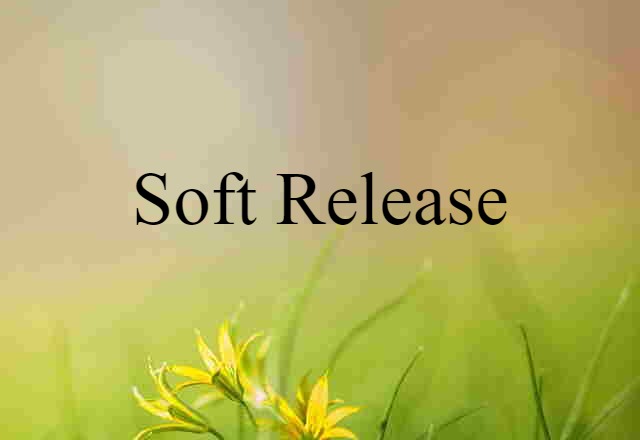 Soft Release (noun) Definition, Meaning & Examples