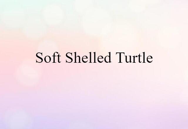 soft-shelled turtle