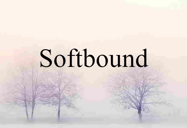 Softbound (noun) Definition, Meaning & Examples