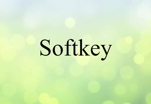 Softkey (noun) Definition, Meaning & Examples