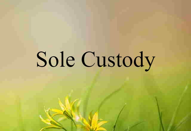 sole custody