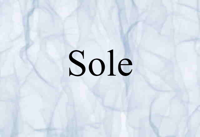 sole