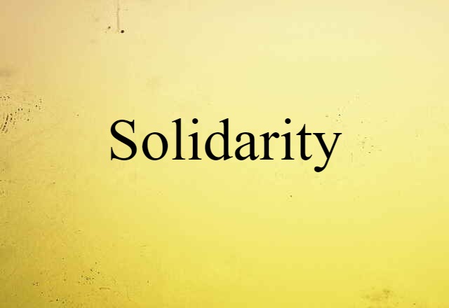 Solidarity (noun) Definition, Meaning & Examples