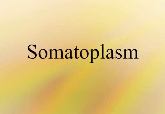 somatoplasm