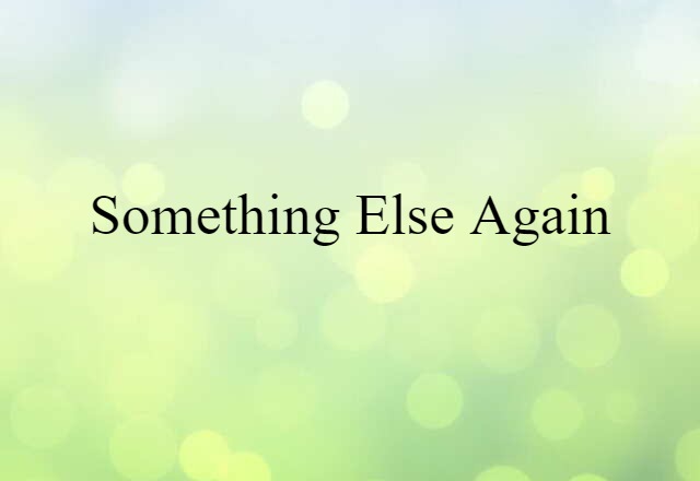 Something Else Again (noun) Definition, Meaning & Examples