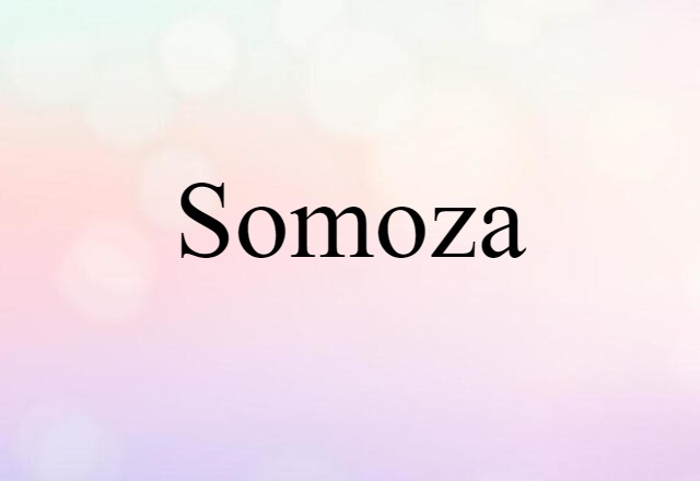 Somoza (noun) Definition, Meaning & Examples