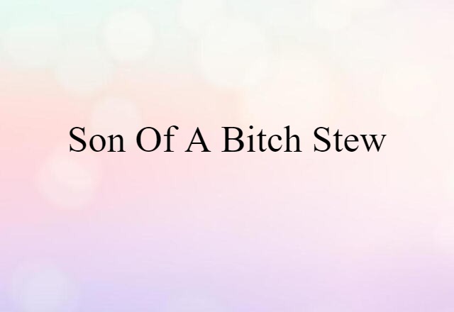 son of a bitch stew