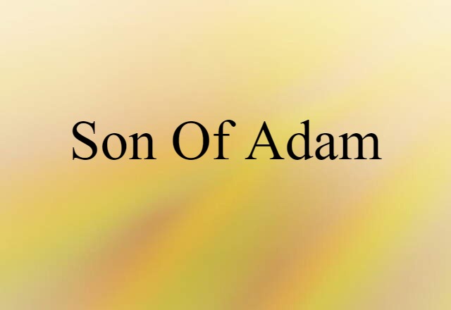 Son Of Adam (noun) Definition, Meaning & Examples