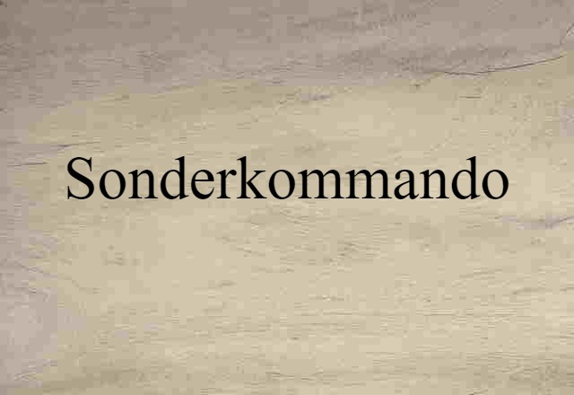 Sonderkommando (noun) Definition, Meaning & Examples