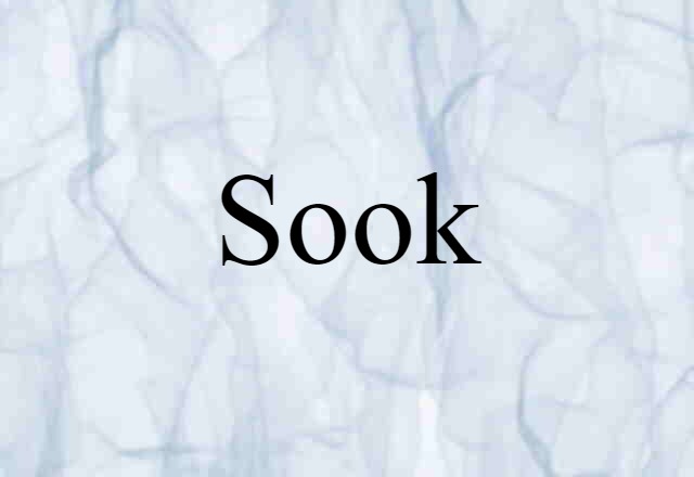 Sook (noun) Definition, Meaning & Examples