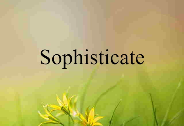 Sophisticate (noun) Definition, Meaning & Examples