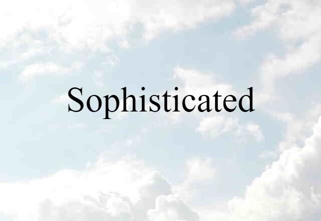 Sophisticated (noun) Definition, Meaning & Examples