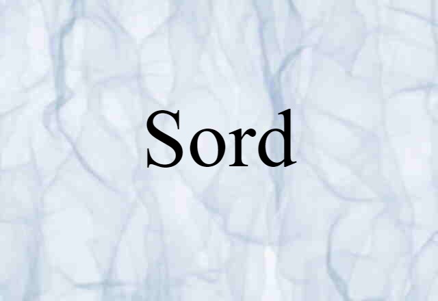 Sord (noun) Definition, Meaning & Examples