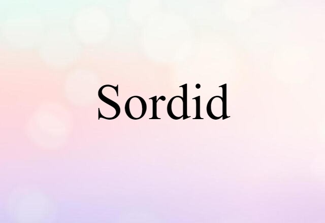 Sordid (noun) Definition, Meaning & Examples