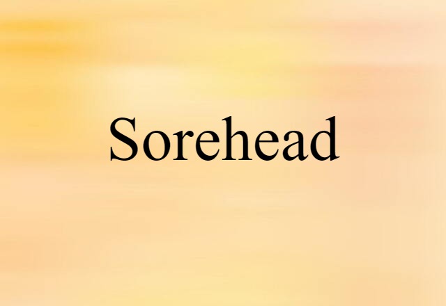 Sorehead (noun) Definition, Meaning & Examples