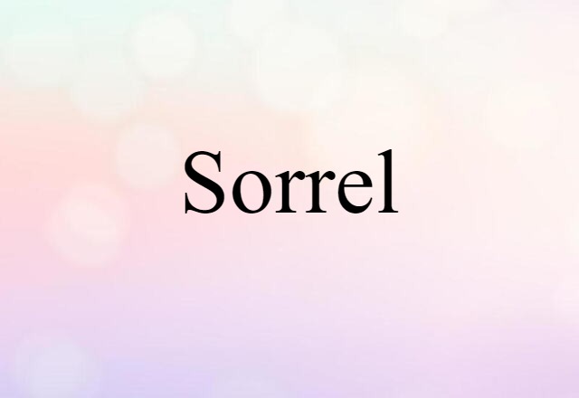 sorrel