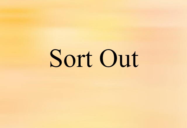 Sort Out (noun) Definition, Meaning & Examples