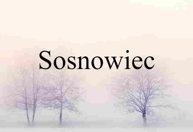 Sosnowiec (noun) Definition, Meaning & Examples