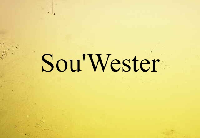 Sou'wester (noun) Definition, Meaning & Examples