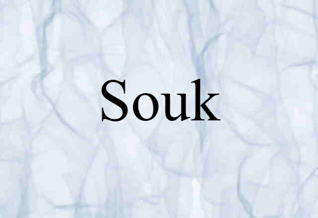 Souk (noun) Definition, Meaning & Examples