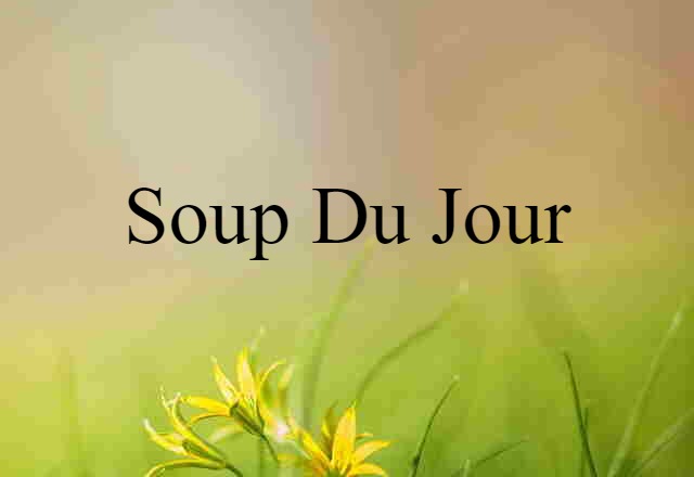 soup du jour