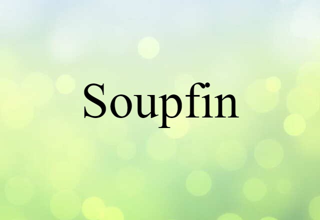 Soupfin (noun) Definition, Meaning & Examples