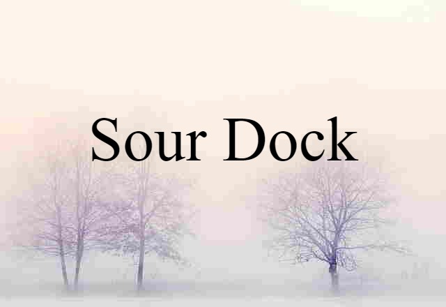 sour dock