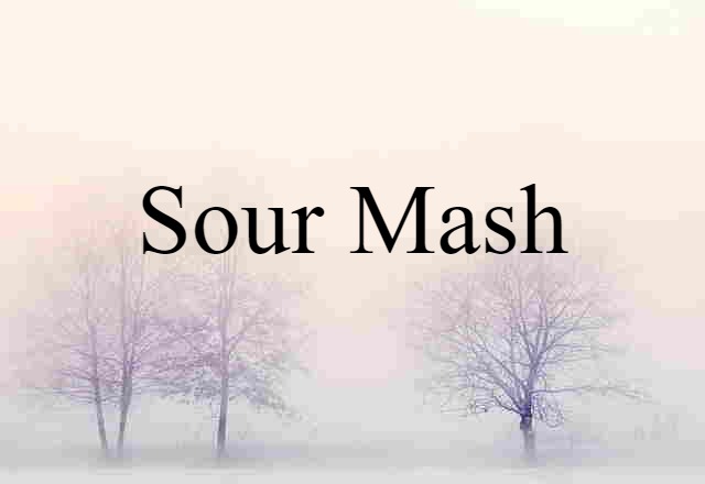 Sour Mash (noun) Definition, Meaning & Examples