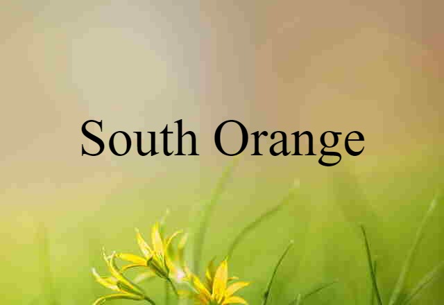 South Orange (noun) Definition, Meaning & Examples