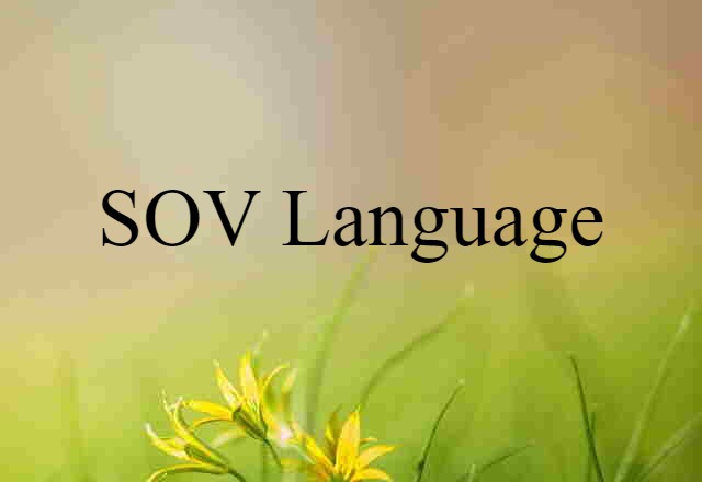 SOV Language (noun) Definition, Meaning & Examples