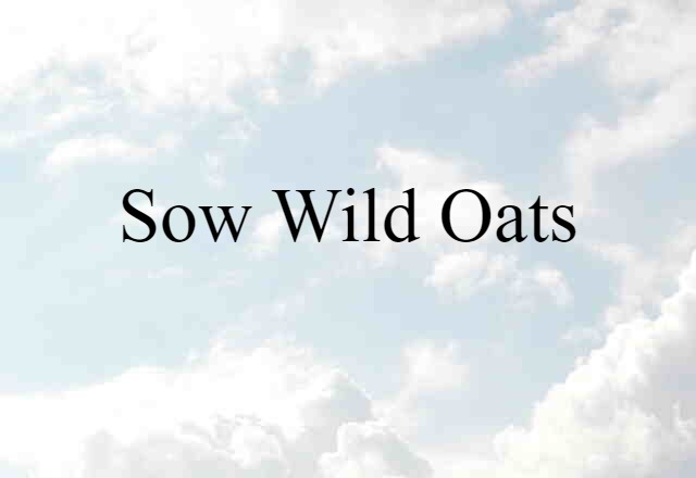 sow wild oats