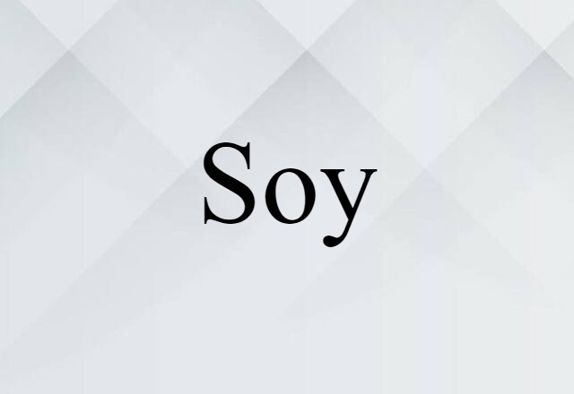 Soy (noun) Definition, Meaning & Examples