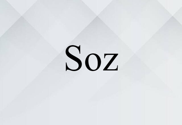 Soz (noun) Definition, Meaning & Examples