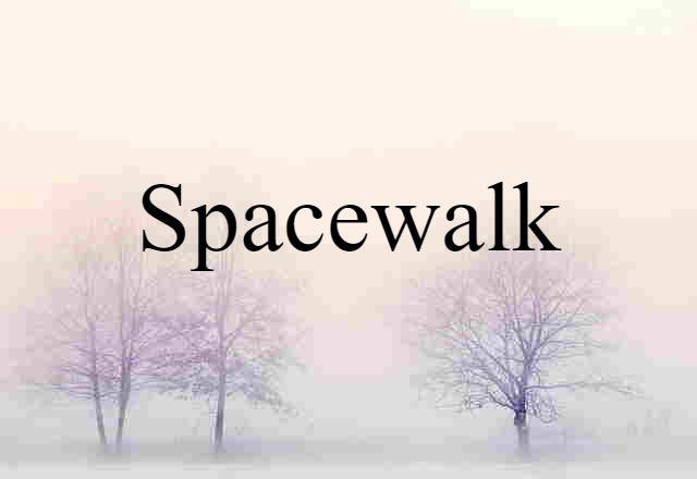 Spacewalk (noun) Definition, Meaning & Examples