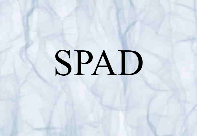 SPAD (noun) Definition, Meaning & Examples