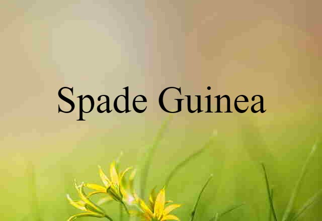 Spade Guinea (noun) Definition, Meaning & Examples