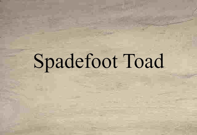 Spadefoot Toad (noun) Definition, Meaning & Examples