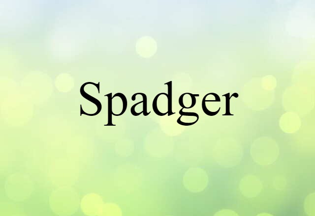 spadger