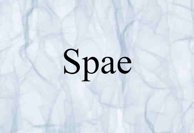 Spae (noun) Definition, Meaning & Examples