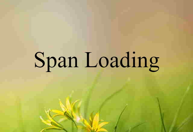 Span Loading (noun) Definition, Meaning & Examples