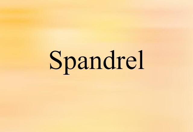 Spandrel (noun) Definition, Meaning & Examples